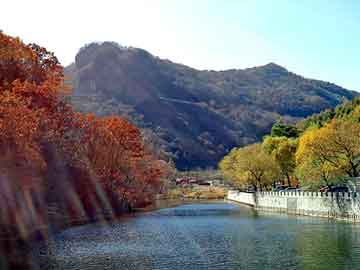 新澳天天开奖资料大全旅游团，晶锐论坛